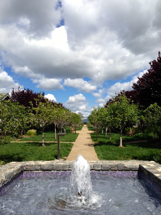 Blue skies and fluffy clouds