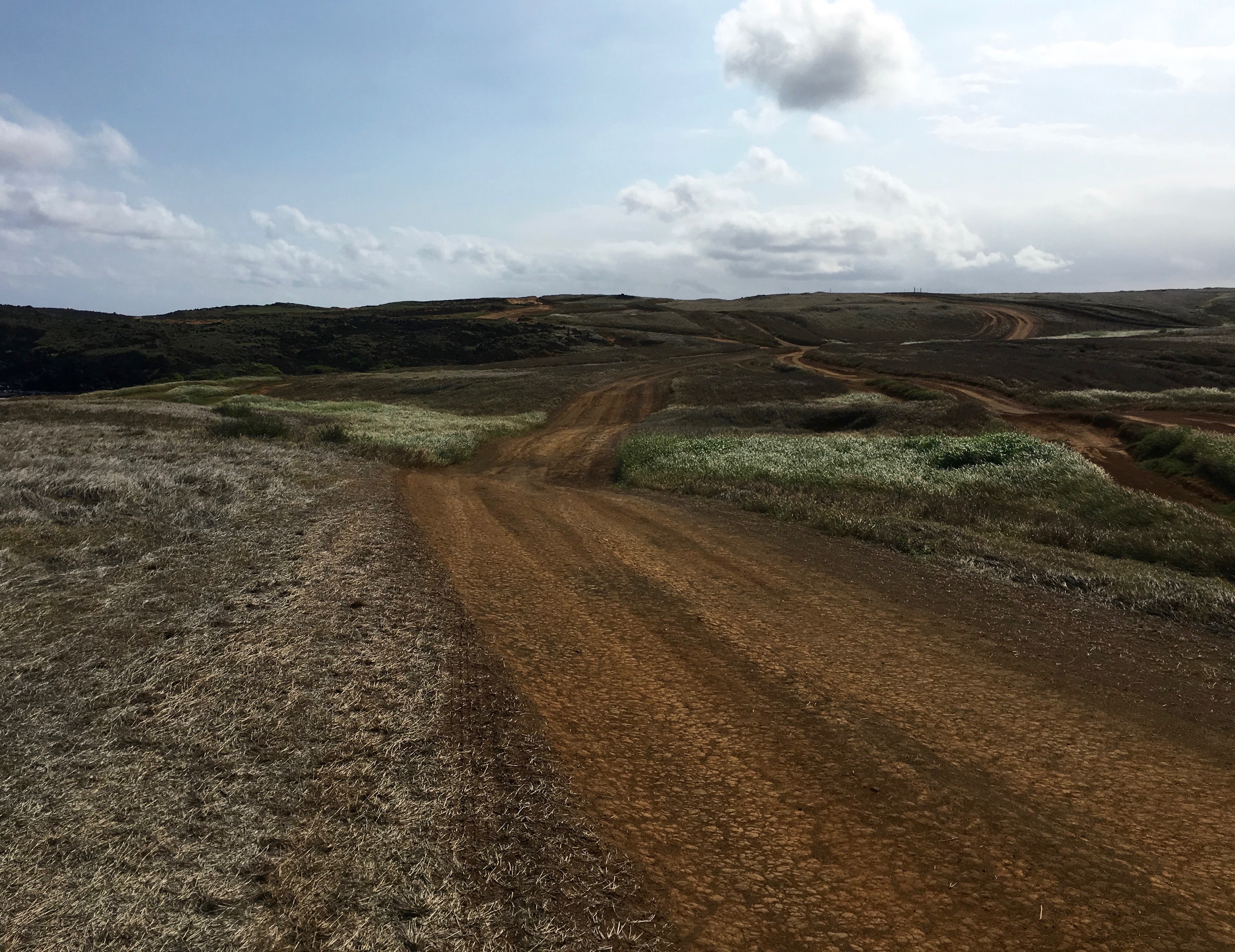 Paths to the green sand beach