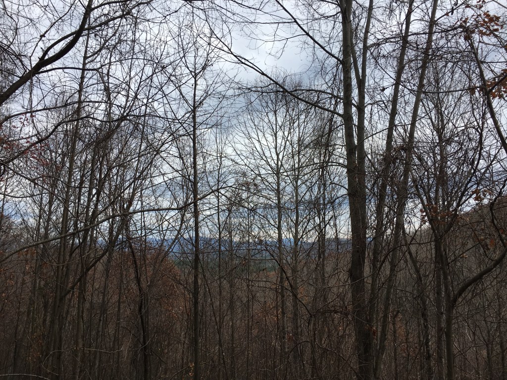 Hiking Bent Creek Forest