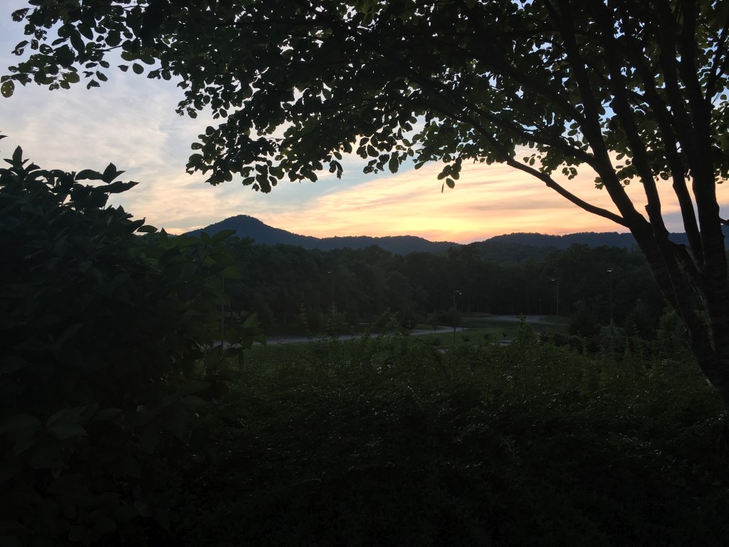 A Flood of&nbsp;Fears