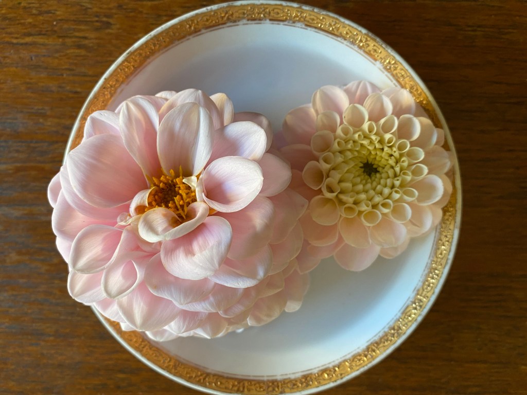 And Then There Were&nbsp;Two